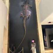 ヒメ日記 2026/02/15 22:41 投稿 かおり Versailles