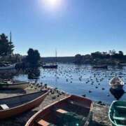 ヒメ日記 2024/12/18 12:44 投稿 くるみ 夢幻 取手店