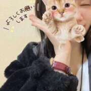 ヒメ日記 2025/04/03 16:32 投稿 くるみ 夢幻 取手店