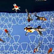 ヒメ日記 2025/07/26 11:06 投稿 くるみ 夢幻 取手店