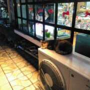 ヒメ日記 2025/11/18 20:15 投稿 くるみ 夢幻 取手店