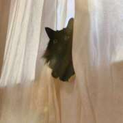 ヒメ日記 2025/11/21 09:03 投稿 くるみ 夢幻 取手店