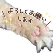 ヒメ日記 2024/12/13 17:46 投稿 くるみ 夢幻（むげん）