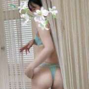 ヒメ日記 2025/08/18 00:59 投稿 くるみ 夢幻（むげん）