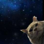 ヒメ日記 2025/08/29 09:28 投稿 くるみ 夢幻（むげん）