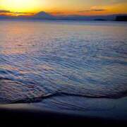 ヒメ日記 2025/09/30 20:39 投稿 くるみ 夢幻（むげん）