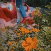 ヒメ日記 2025/10/18 22:21 投稿 くるみ 夢幻（むげん）