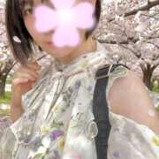 くるみ 🌸🍡 夢幻（むげん）