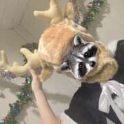 ヒメ日記 2024/12/26 10:16 投稿 ノドカ ラブコレクション