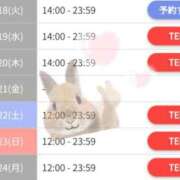 ヒメ日記 2025/02/12 15:01 投稿 ノドカ ラブコレクション