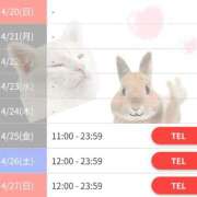 ヒメ日記 2025/04/18 23:46 投稿 ノドカ ラブコレクション