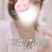 ヒメ日記 2025/05/14 13:31 投稿 ノドカ ラブコレクション