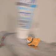 ヒメ日記 2025/08/17 00:01 投稿 ノドカ ラブコレクション