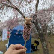 ヒメ日記 2026/04/05 13:31 投稿 ノドカ ラブコレクション