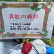 ヒメ日記 2026/04/23 13:10 投稿 みれい 熟女の風俗最終章 町田店