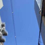 ヒメ日記 2024/12/10 11:09 投稿 そら スピードエコ日本橋店