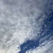 ヒメ日記 2024/12/23 09:49 投稿 そら スピードエコ日本橋店