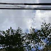 ヒメ日記 2024/12/24 13:02 投稿 そら スピードエコ日本橋店