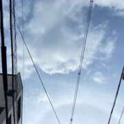 ヒメ日記 2024/12/30 13:09 投稿 そら スピードエコ日本橋店