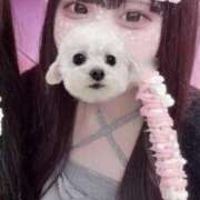 ヒメ日記 2025/11/23 10:21 投稿 あみ ストロベリーハウス