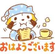 ヒメ日記 2025/06/27 09:16 投稿 ミチル マテリアル