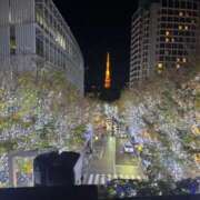 ヒメ日記 2025/10/14 17:16 投稿 ミチル マテリアル