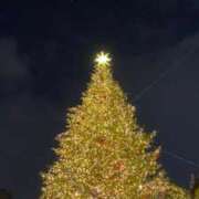 ヒメ日記 2025/11/14 22:16 投稿 ミチル マテリアル