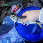 ヒメ日記 2025/02/24 14:36 投稿 まりか【性感】 性感エステBianca豊中店