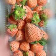 ヒメ日記 2025/04/16 20:39 投稿 まりか【性感】 性感エステBianca豊中店