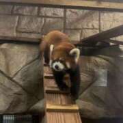 ヒメ日記 2025/08/29 22:38 投稿 まりか【性感】 性感エステBianca豊中店