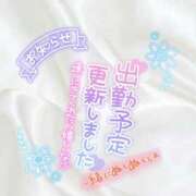 ヒメ日記 2025/01/21 12:57 投稿 すい 長崎佐世保ちゃんこ
