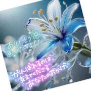 ヒメ日記 2025/08/17 16:47 投稿 すい 長崎佐世保ちゃんこ