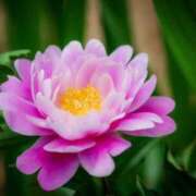 ヒメ日記 2025/02/02 15:13 投稿 ミク マリン宮殿水戸店