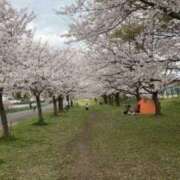 ヒメ日記 2025/04/09 05:34 投稿 ミク マリン宮殿水戸店