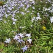 ヒメ日記 2025/04/21 14:54 投稿 ミク マリン宮殿水戸店