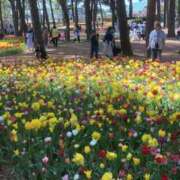 ヒメ日記 2025/05/15 12:34 投稿 ミク マリン宮殿水戸店