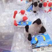 ヒメ日記 2025/07/09 17:25 投稿 ミク マリン宮殿水戸店