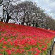 ヒメ日記 2025/10/02 21:14 投稿 ミク マリン宮殿水戸店