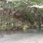 ヒメ日記 2025/06/28 12:26 投稿 まゆか 横浜ミセスアロマ（ユメオト）