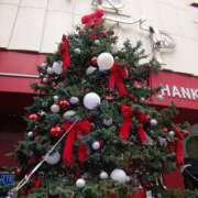 ヒメ日記 2024/12/17 16:07 投稿 さき ちゃんこ東大阪 布施・長田店