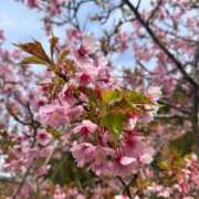 ヒメ日記 2025/03/25 10:01 投稿 きこ 池袋人妻ヒットパレード（シンデレラグループ）