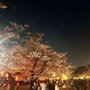 ヒメ日記 2026/04/08 19:43 投稿 きこ 池袋人妻ヒットパレード（シンデレラグループ）