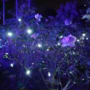 ヒメ日記 2025/02/10 21:23 投稿 あい クラブアリア -CLUB ARIA-