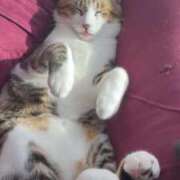 ヒメ日記 2025/04/01 16:16 投稿 このみ お姉さんSelect