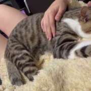 ヒメ日記 2025/05/15 08:36 投稿 このみ お姉さんSelect