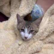 ヒメ日記 2025/07/17 15:27 投稿 このみ お姉さんSelect