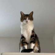 ヒメ日記 2026/01/28 12:46 投稿 このみ お姉さんSelect