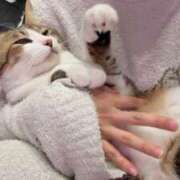 ヒメ日記 2026/02/26 18:36 投稿 このみ お姉さんSelect