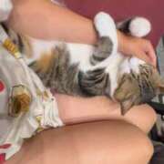 ヒメ日記 2026/03/01 19:48 投稿 このみ お姉さんSelect