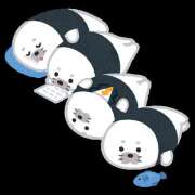 ヒメ日記 2026/04/11 14:33 投稿 しろ カリビアン